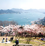 筆影山からの多島美